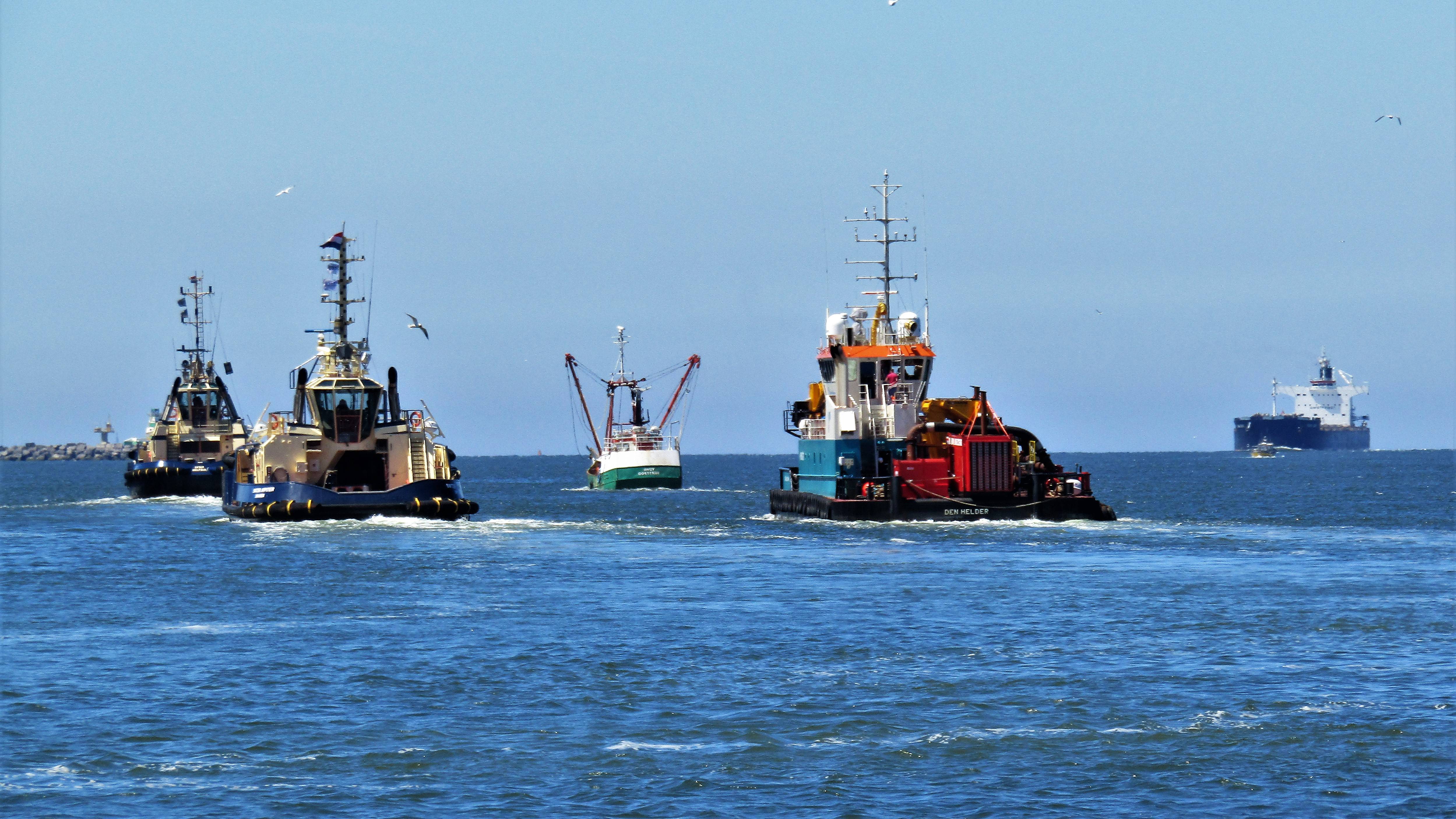 Pieren IJmuiden   22-06-22 